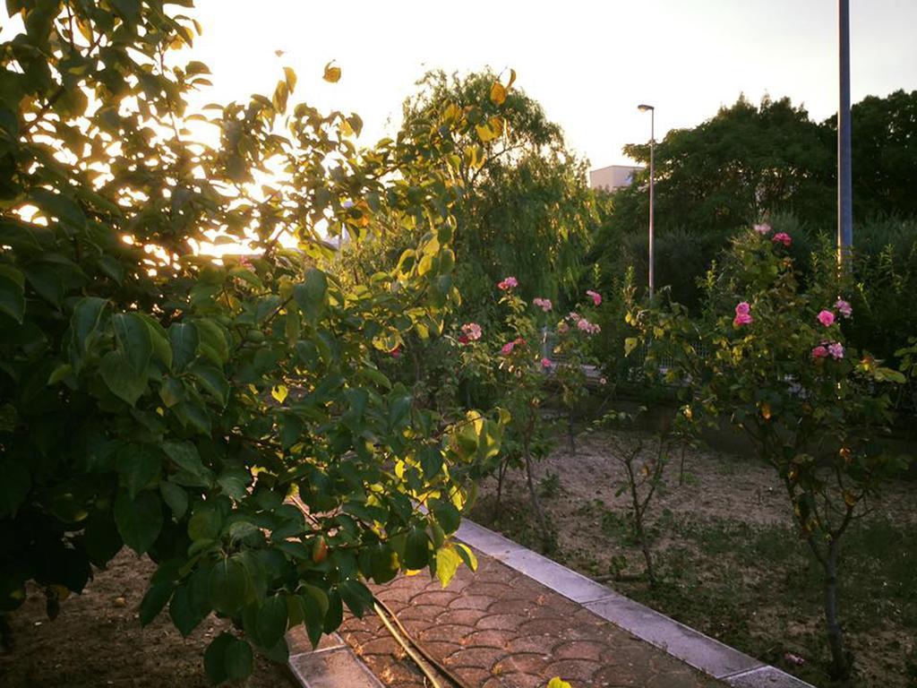 Buon Vento Bed & Breakfast Matera Eksteriør bilde